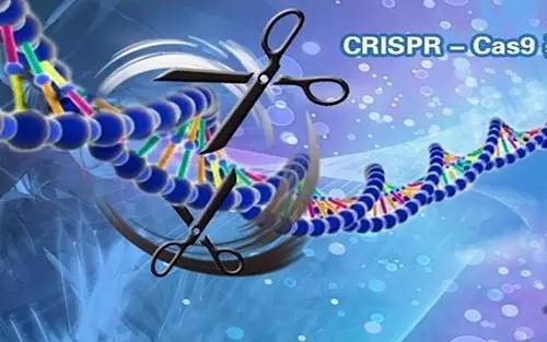 Science最新揭秘：除了CRISPR，細菌體內還存在超10種免疫防御系統